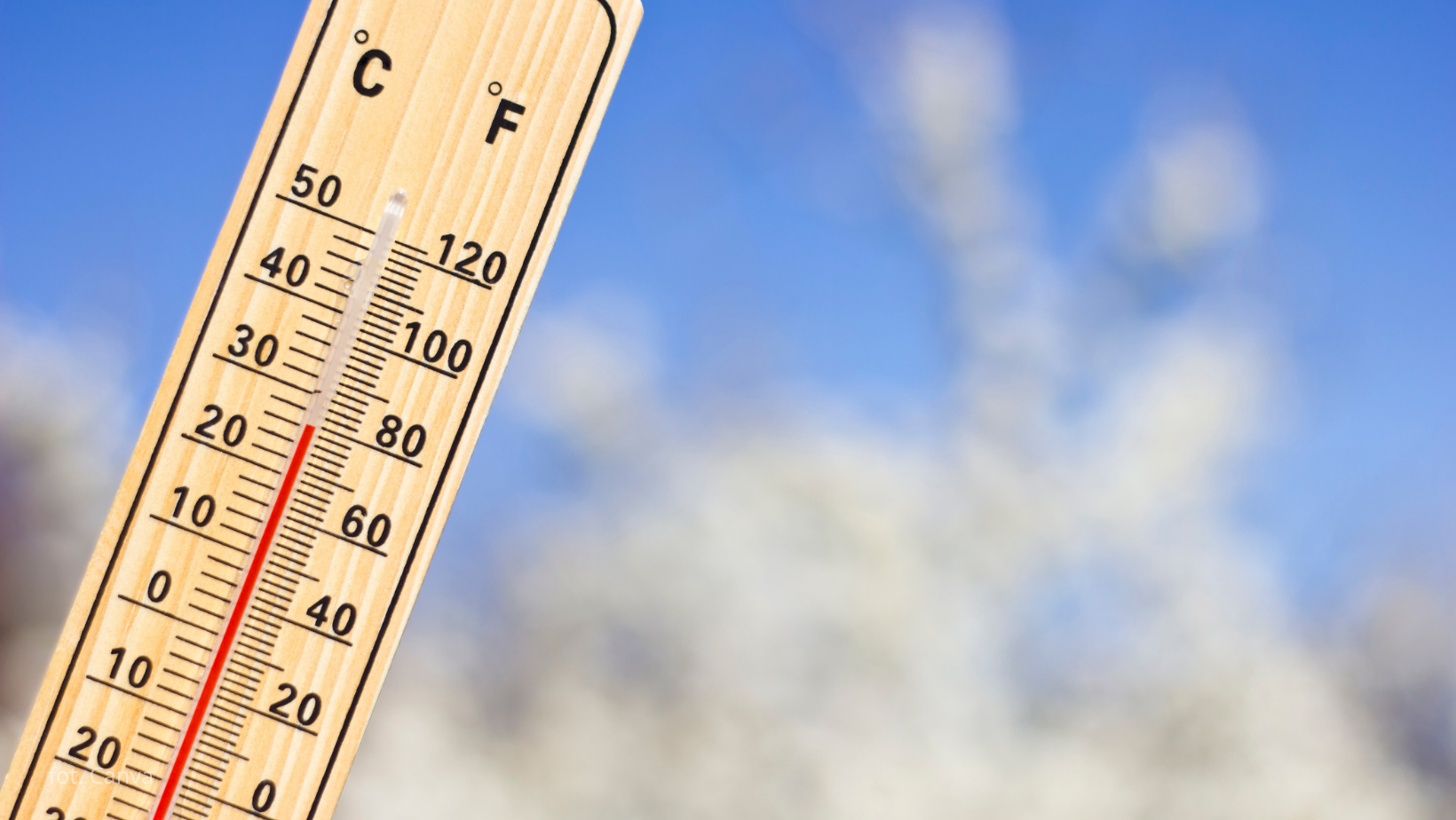 Kiedy wróci wiosna? Najnowsza prognoza na kwiecień nie zachwyca